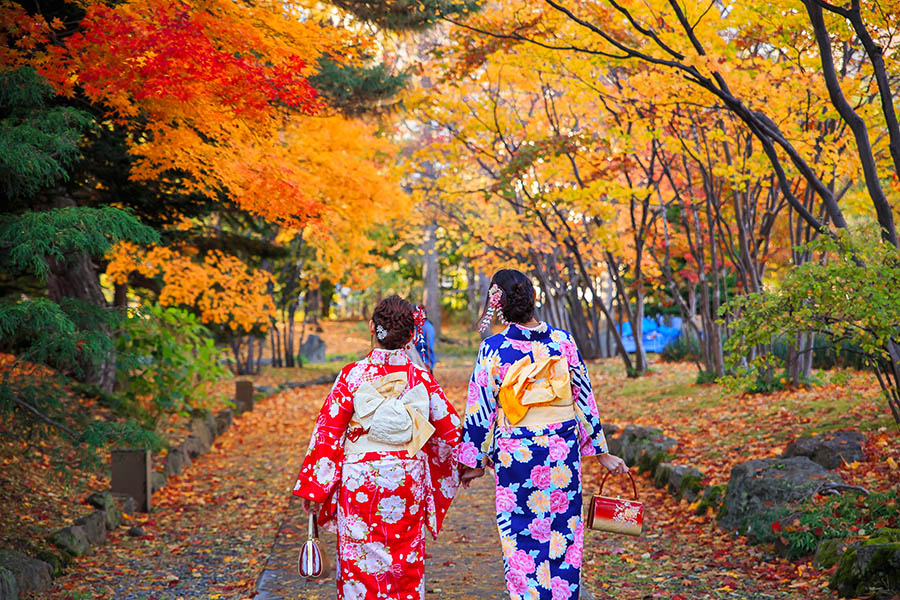 See the autumnal colours of Hokkaido, Japan | Travel Nation