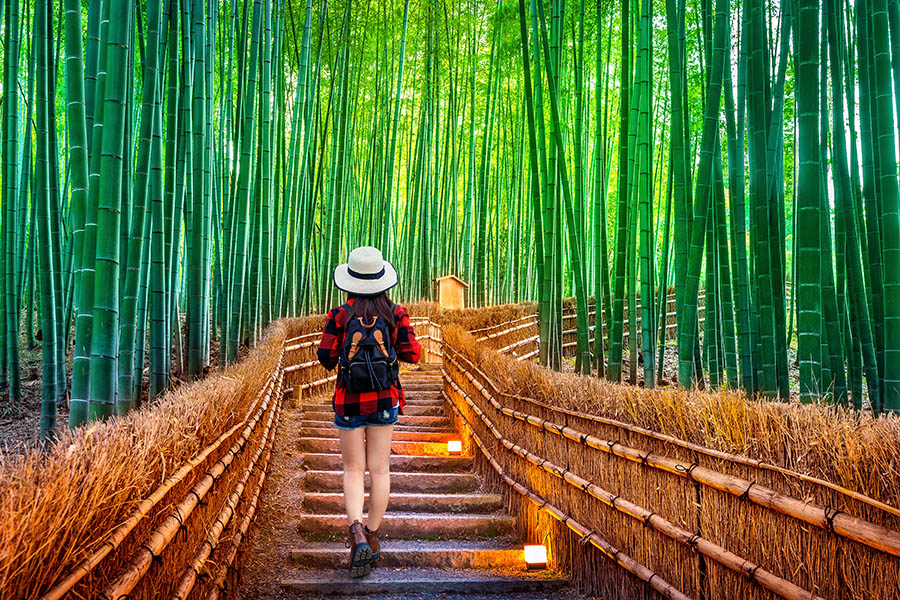 Explore the Arashiyama Bamboo Forest in Kyoto | Travel Nation