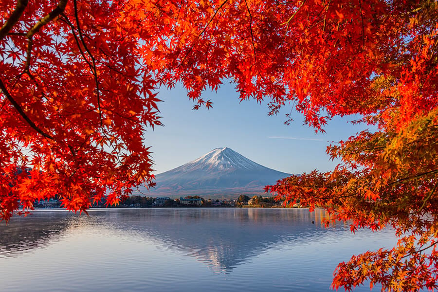 Views over Mount Fuji in early autumn | Travel Nation