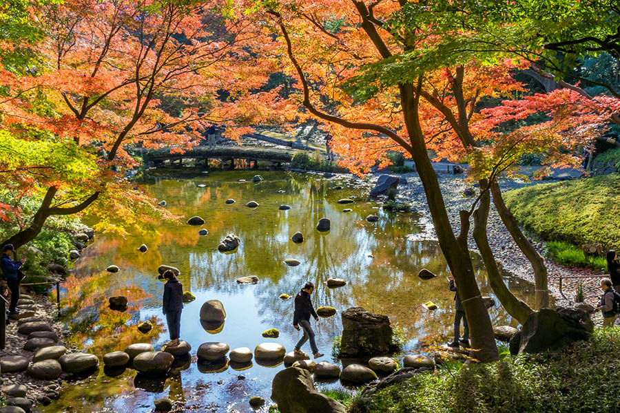 Travelling around Japan - Samurai park in Tokyo