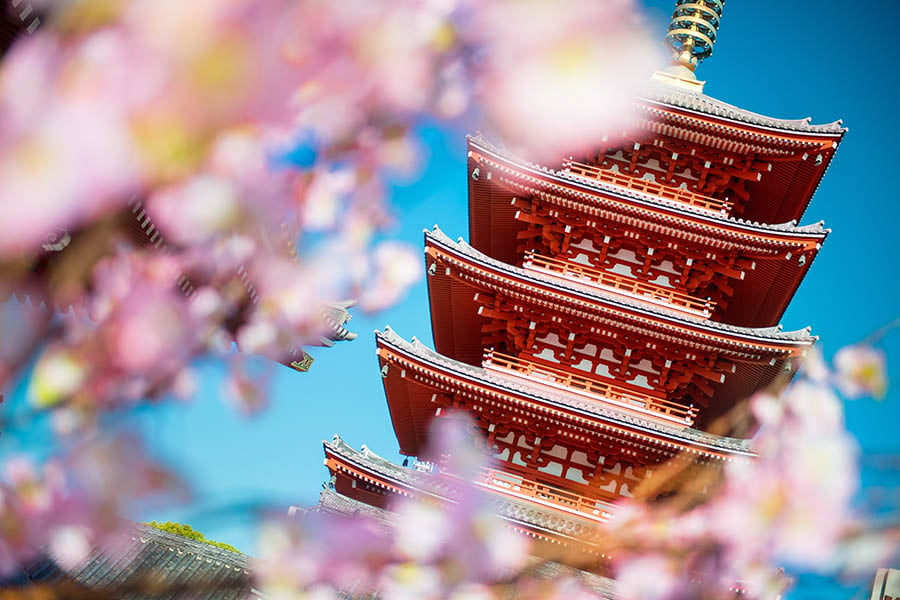 Visit the beautiful Senso-ji Temple in Tokyo | Travel Nation
