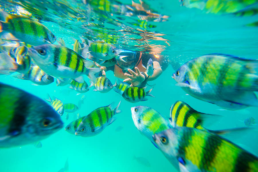 Go snorkelling off the beaches of Langkawi | Travel Nation