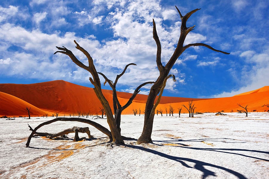 Discover the incredible landscapes of Sossusvlei