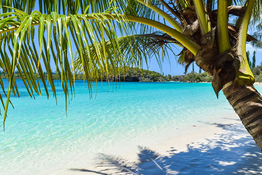 Soak up the sunshine on tropical Ile des Pins | Travel Nation