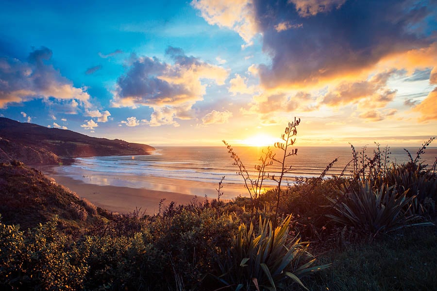 Discover the beautiful beaches of New Zealand's North Island | Travel Nation
