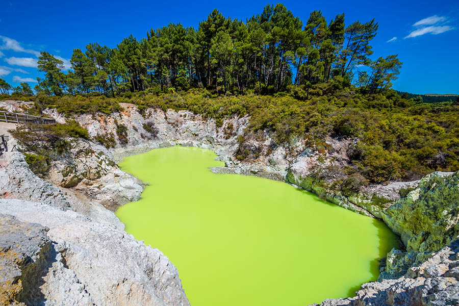 Explore the volcanic pools and geysers of Rotorua | Travel Nation