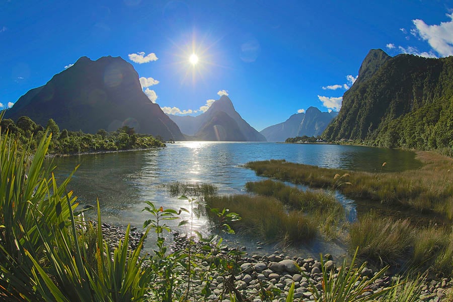 Visit the waterfalls and mountains of Milford Sound | Travel Nation