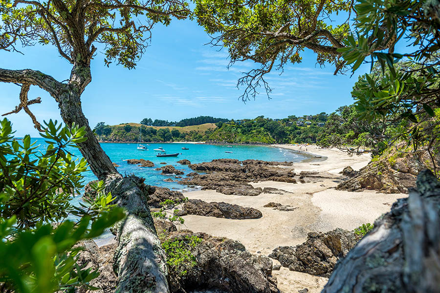 Drink wine and discover hidden beaches on Waiheke Island | Travel Nation
