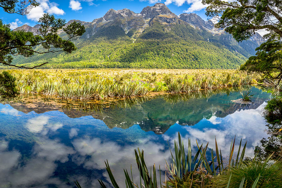 Mirror Lakes on the way to Milford Sound, NZ | Travel Nation