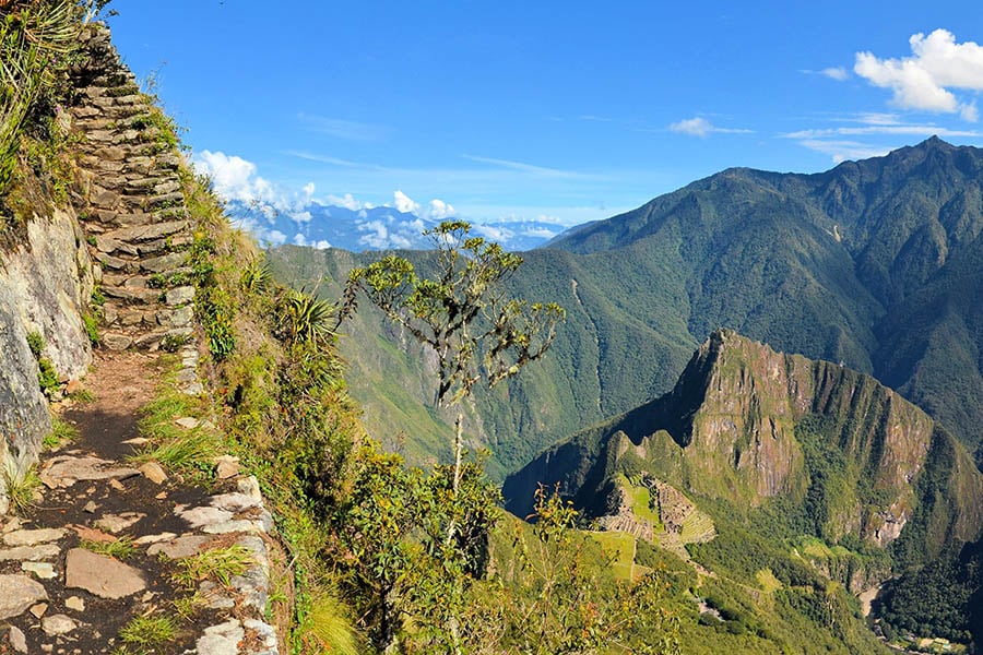 Wander the cobbled pathways around Machu Picchu | Travel Nation