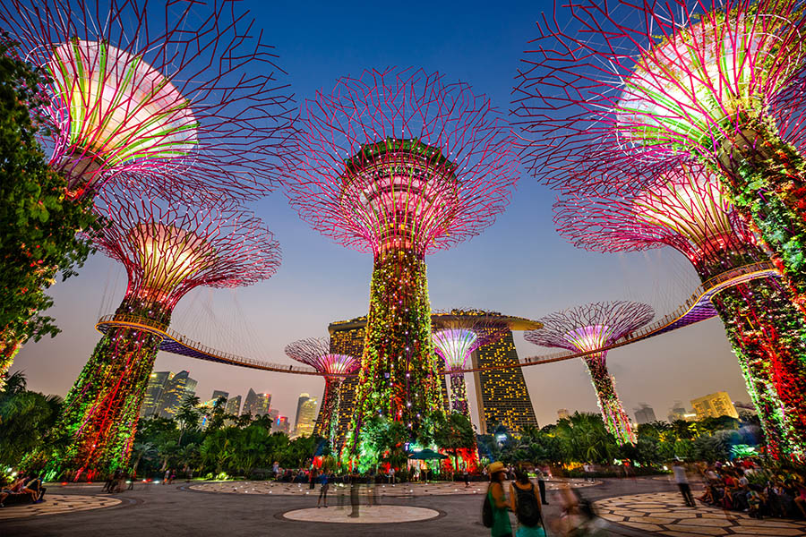 Take a walk-through Gardens by the Bay; the enormous illuminated “trees” are a spectacular sight at night