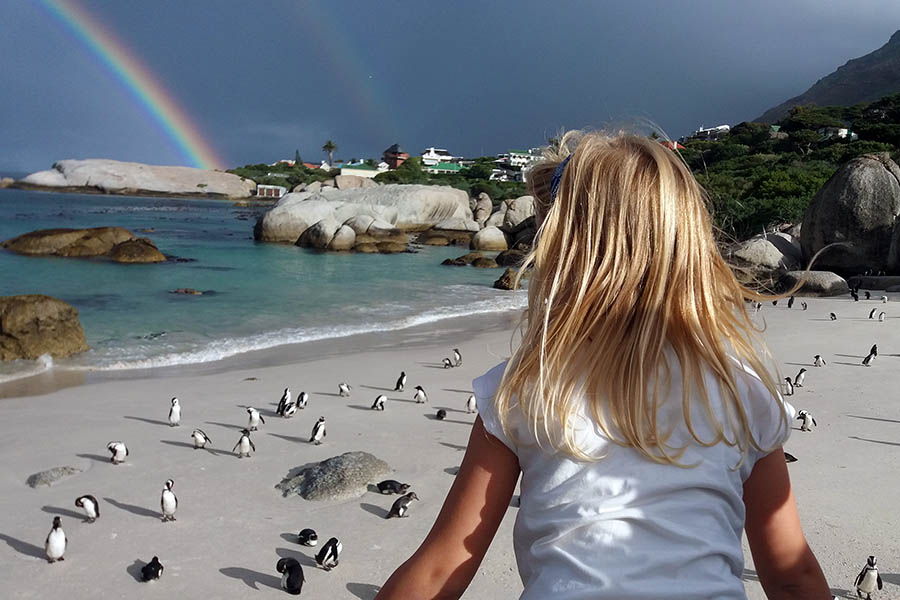 Penguins and rainbows make a magical pairing (it was even worth the earlier rain)!
