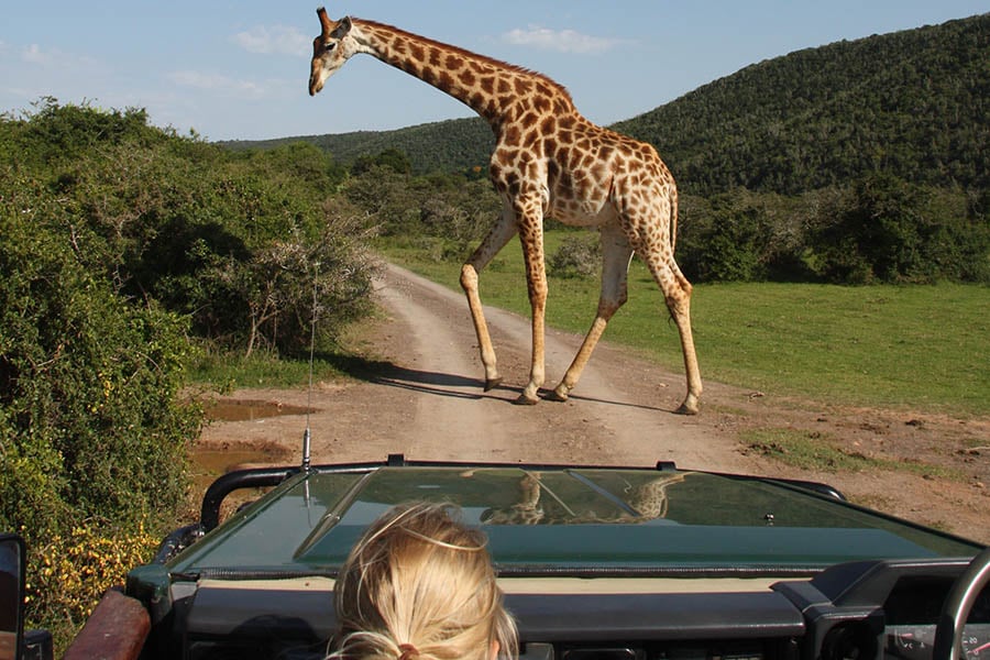 We enjoyed some incredible, wildlife-filled game drives over the course of two days