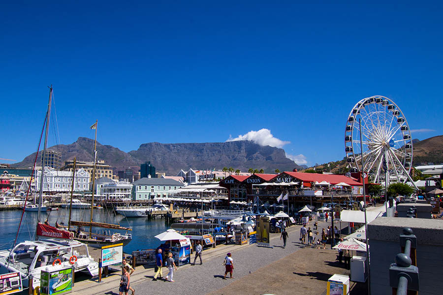 Head to the V&A waterfront for some delicious seafood