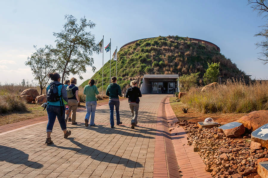 Learn about your distant ancestors at the Cradle of Humankind