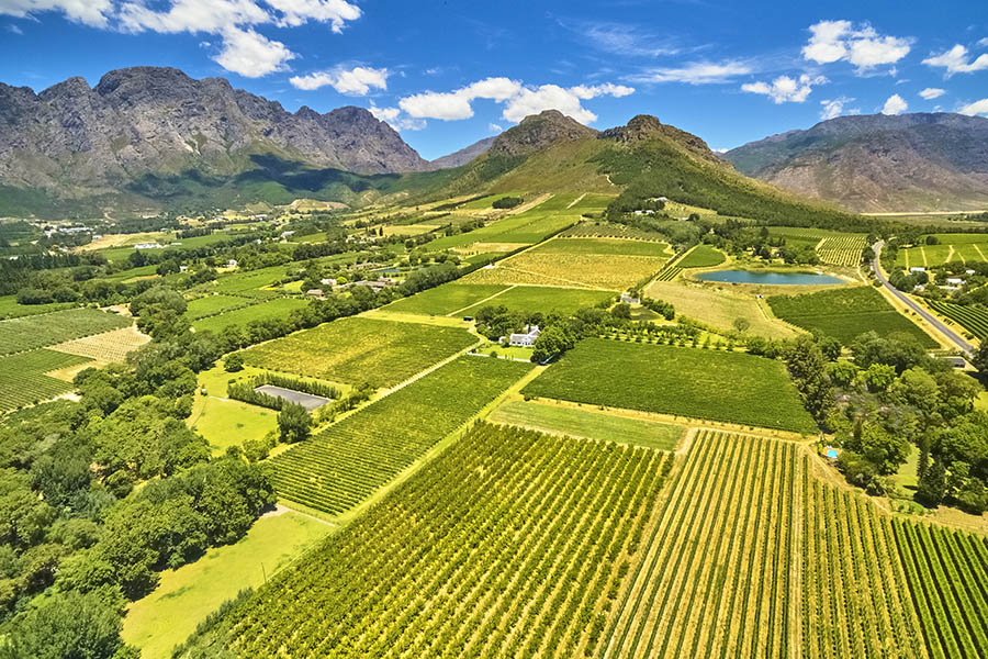 Explore South Africa's stunning winelands | Travel Nation