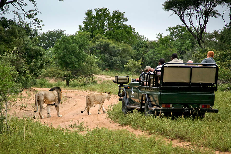 A game drive could be the highlight of your stay! | Photo credit: &Beyond