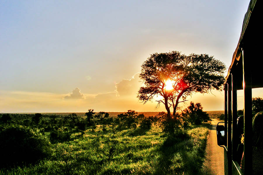 See amazing sunsets over the African savanna in Kruger | Travel Nation