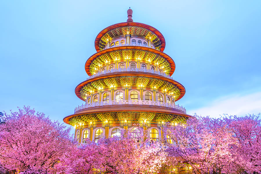 See cherry blossom around the temples of Taipei | Travel Nation