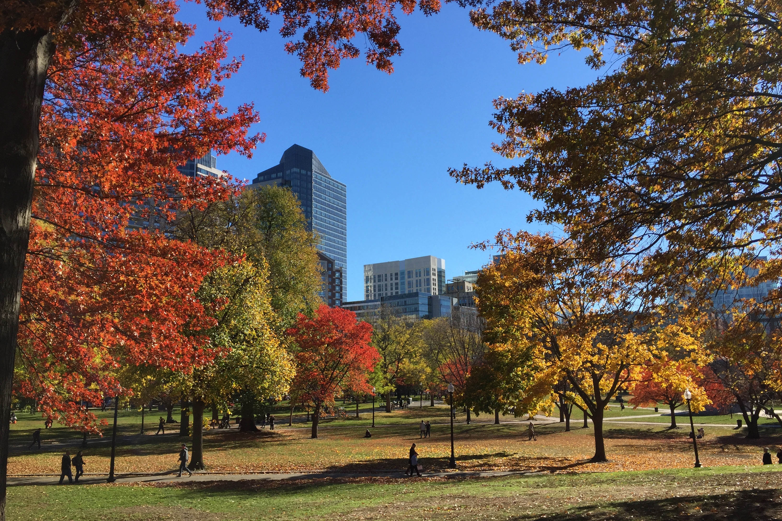 Explore Boston in beautiful autumn | Travel Nation