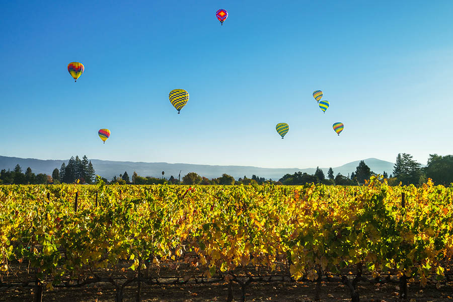 Watch air balloons float over the Napa Valley | Travel Nation