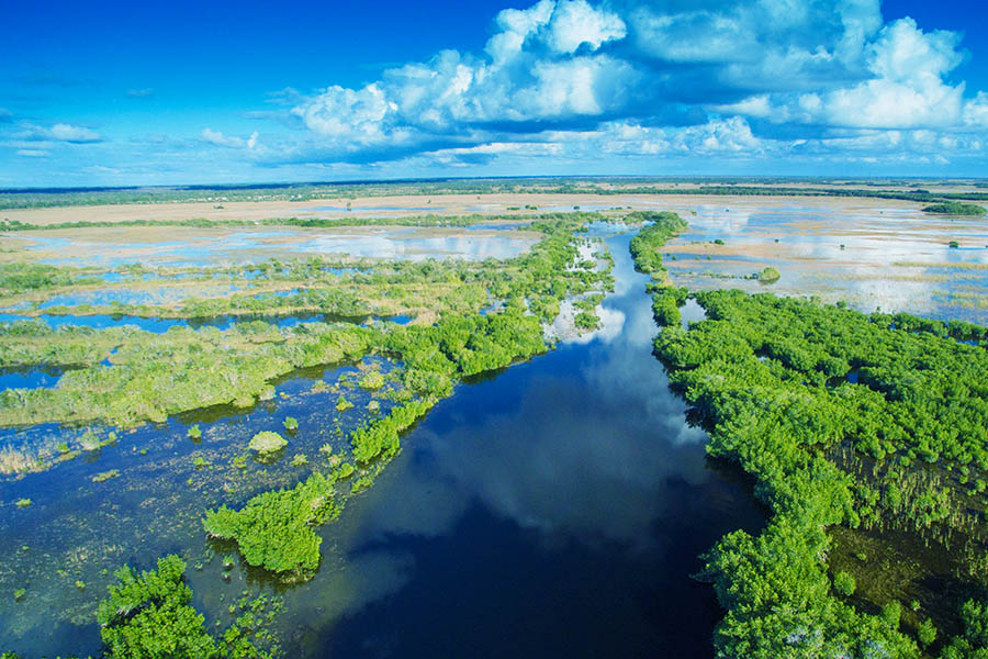 Take an airboat trip across the Florida Everglades | Travel Nation
