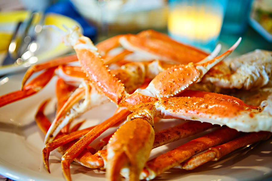 Feast on Florida's finest seafood | Travel Nation