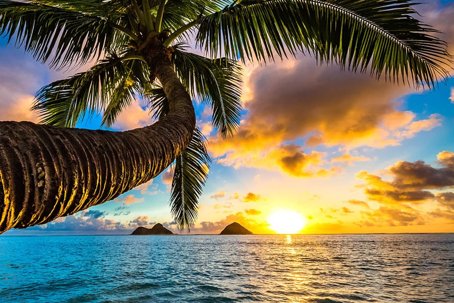 Wake up to glorious sunrises in Hawaii | Travel Nation