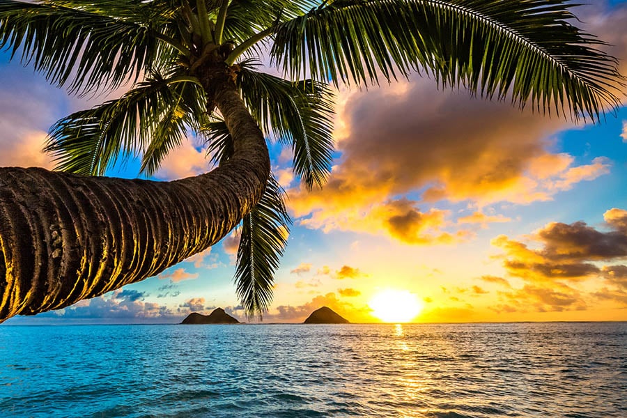 Wake up to glorious sunrises in Hawaii | Travel Nation Wake up to glorious sunrises in Hawaii | Travel Nation