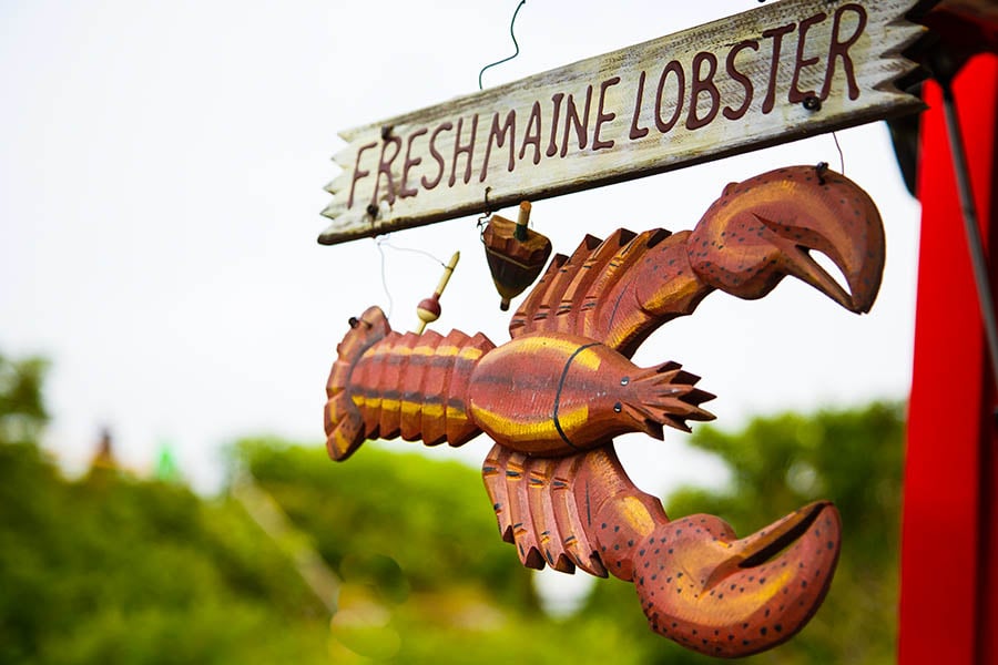 Tuck into famous Maine lobster | Travel Nation