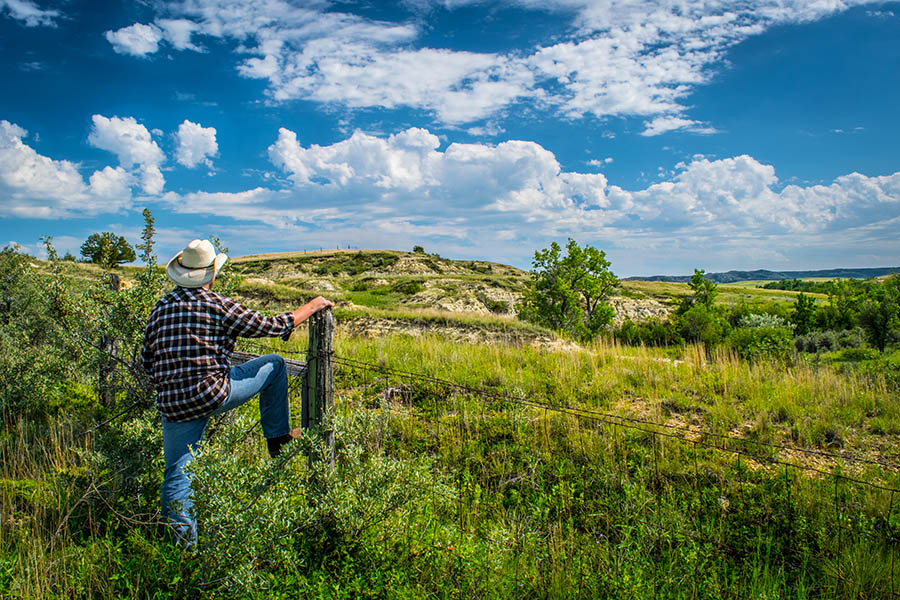 Learn to ride with the cowboys in Montana | Travel Nation