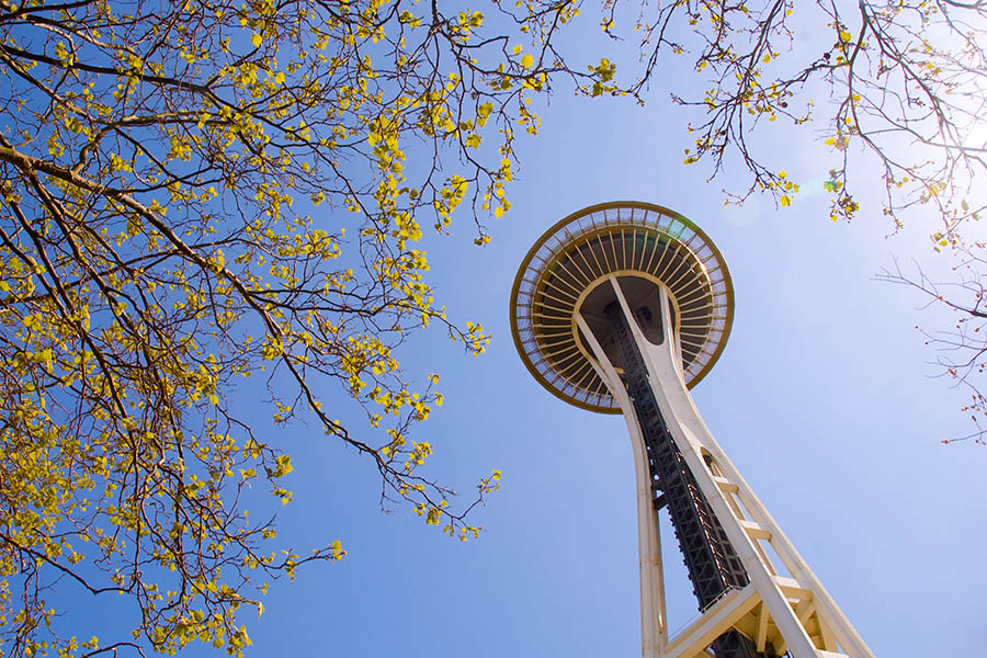 Take a trip to the top of the Space Needle in Seattle | Travel Nation