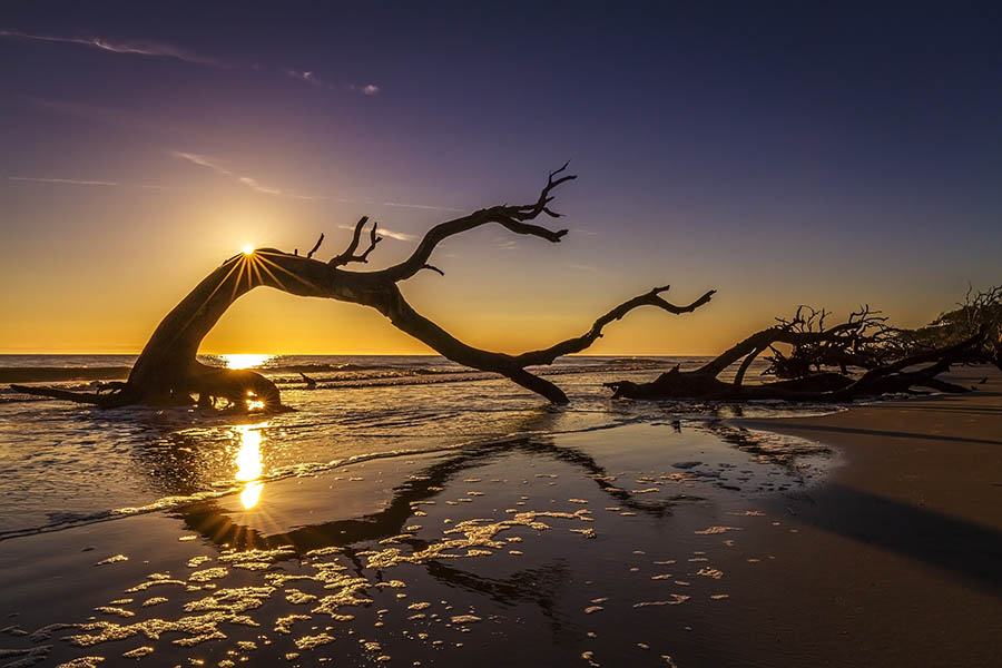 Take stunning sunset photos on Driftwood Beach, Jekyll Island | Travel Nation