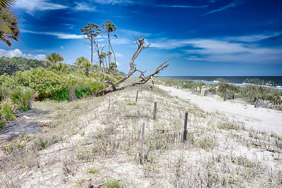 Explore the windswept sands of Hunting Island, South Carolina | Travel Nation