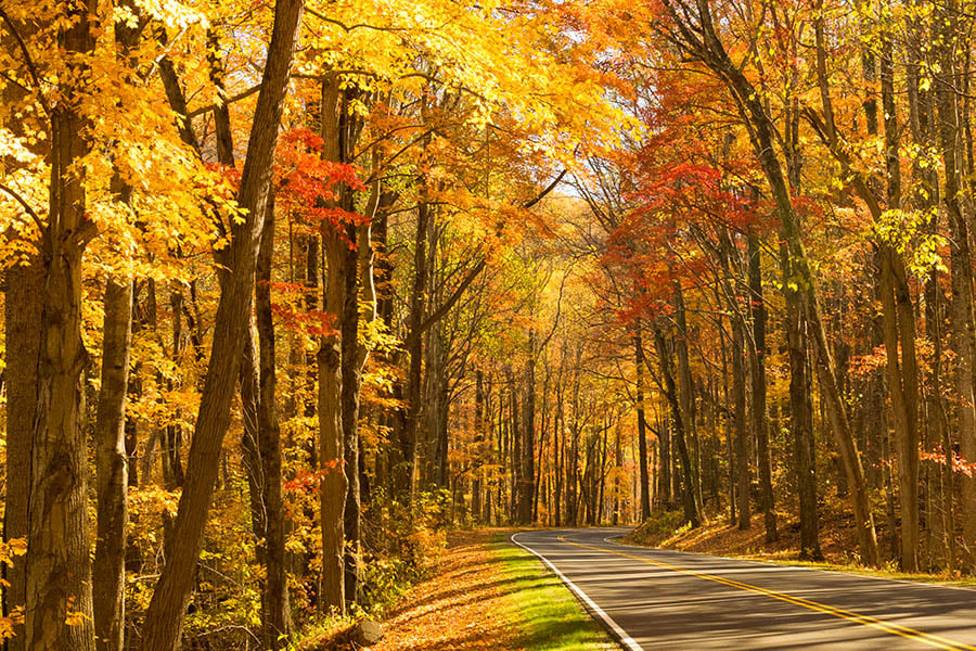 Take an autumn road trip through the Great Smoky Mountains | Travel Nation Take an autumn road trip through the Great Smoky Mountains | Travel Nation