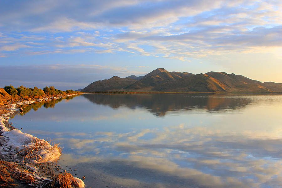 Visit Antelope Island in the Great Salt Lake | Travel Nation