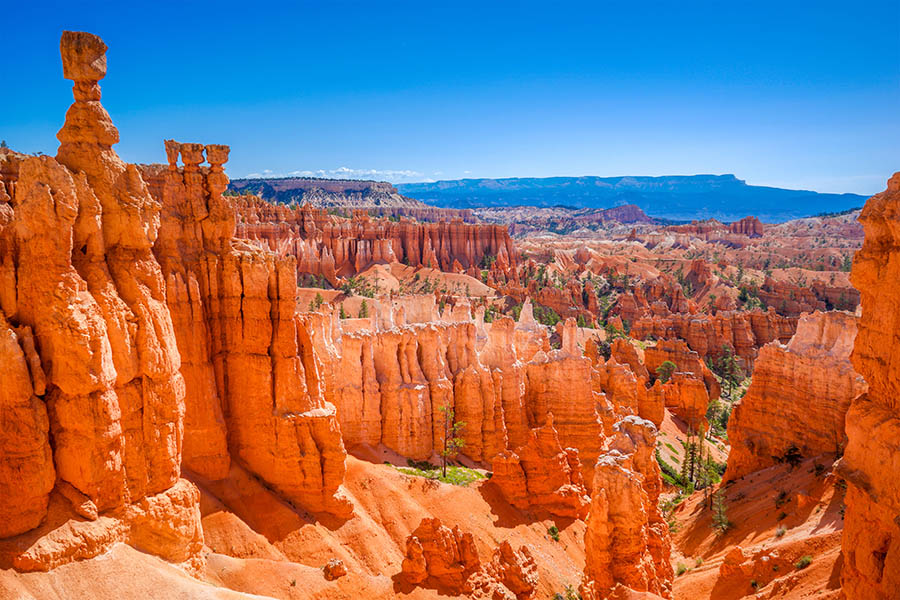 See the hoodoos of Bryce Canyon National Park | Travel Nation