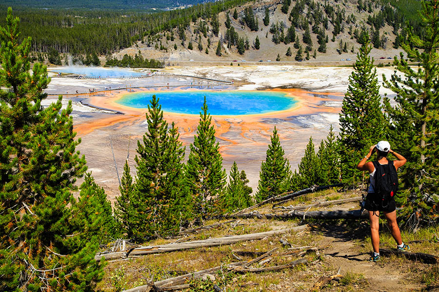 See the colourful pools and geysers of Yellowstone National Park | Travel Nation
