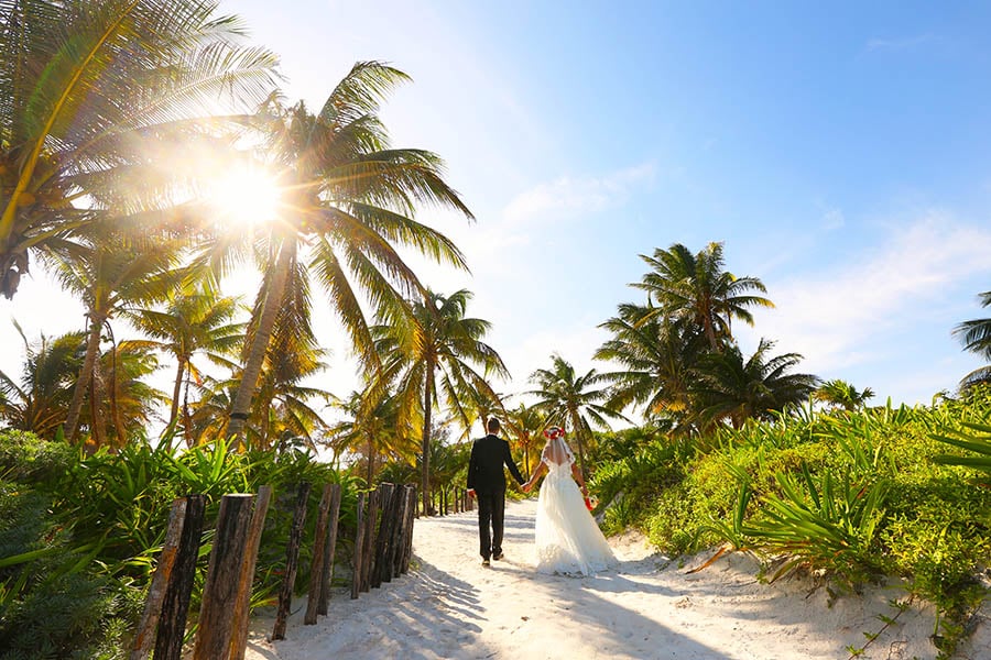 Fiji wedding at sunset with tropical palms | Travel Nation