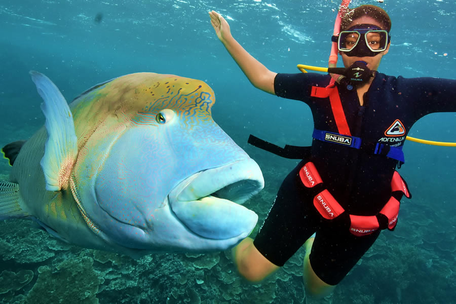 Elodie scuba diving with the big boys! Elodie scuba diving with the big boys!