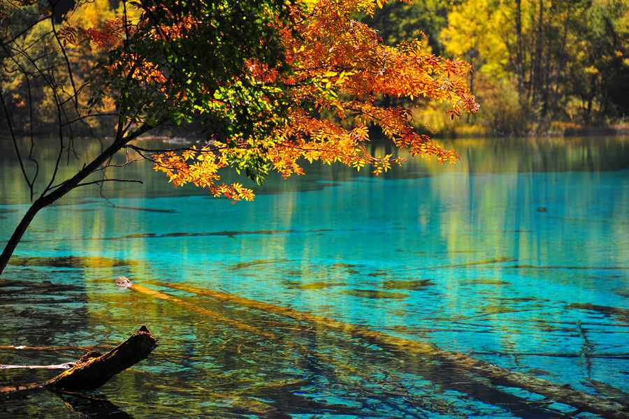 Jiuzhaigou National Park, China | Top 10 things to do in China