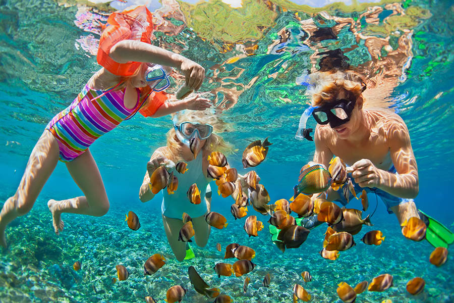 Explore the colourful underwater world together | Travel Nation 