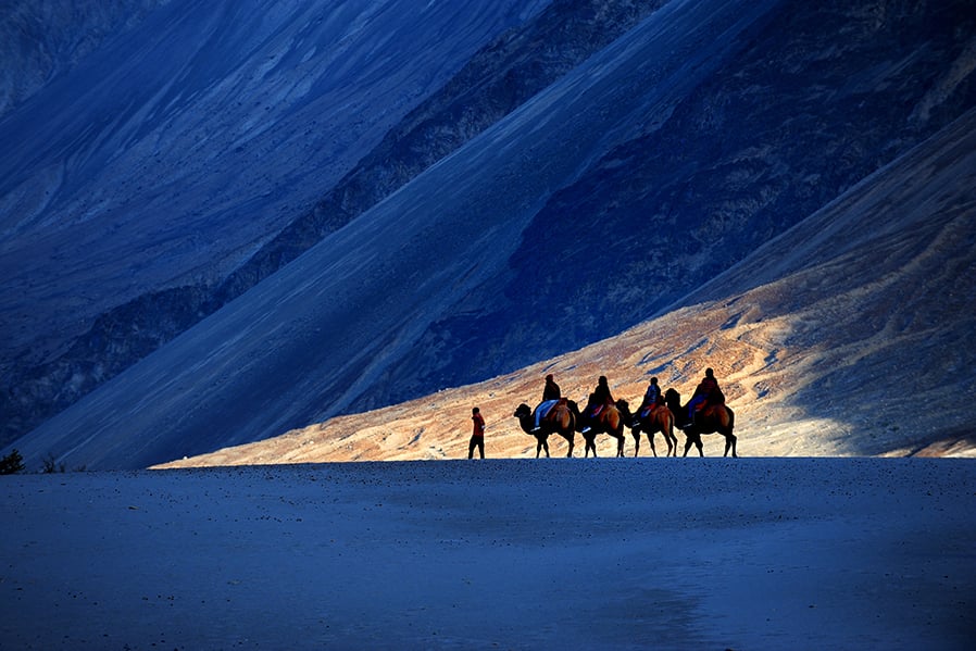 Take a ride on a camel in the Nubra Valley | Travel Nation