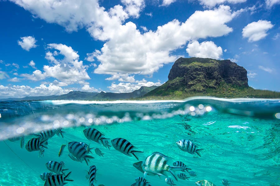 Snorkel in the clear waters off Mauritius | Travel Nation