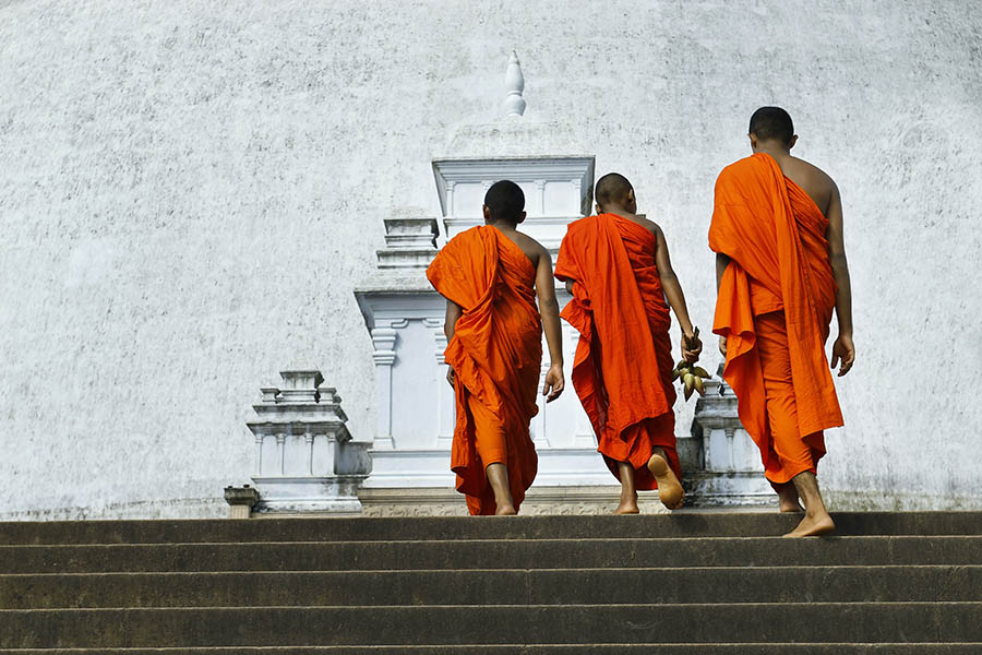 Watch the monks as you explore Anuradhapura | Travel Nation