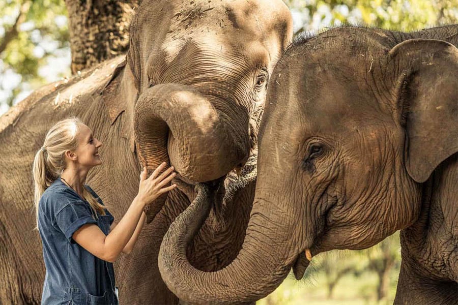 Meet the gentle giants at Anantara Golden Triangle Elephant Experience | Travel Nation
