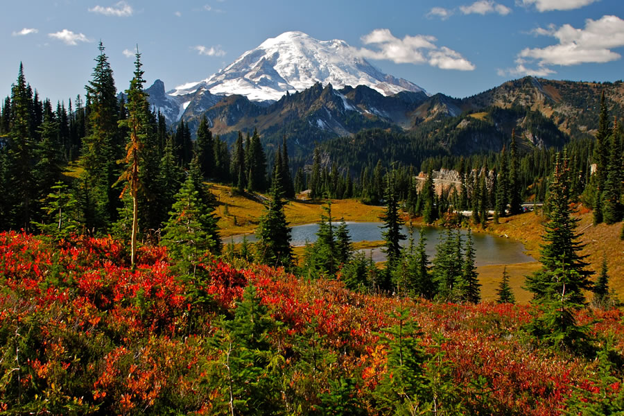 Mount Rainier National Park in the autumn