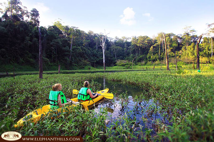 Head out with your guide on a canoe safari