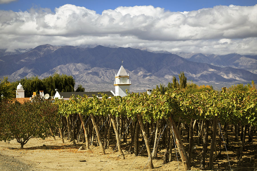 Explore Cafayete - the first of Argentina's wine regions