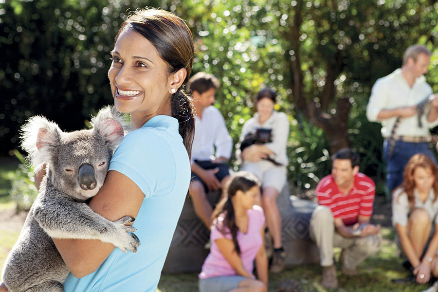 Meet indigenous creatures in Australia Zoo ( made famous by Steve Irwin) | photo credit: Tourism & Events Queensland
